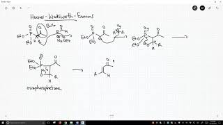 HornerWadsworthEmmons reaction to form alkenes [upl. by Icken541]