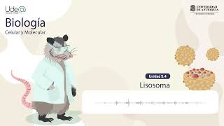 El lisosoma [upl. by Allerus]