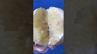 White Pomelo benefits tropical pomelofruit 🍋 [upl. by Odab]