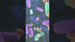 MindBlowing Facts 🌍 shorts facts [upl. by Nahte]