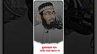 মুসলিম দল কারা shots trending vairalvideo mashallah islamicvideo asadullahalghalib [upl. by Eihcir412]