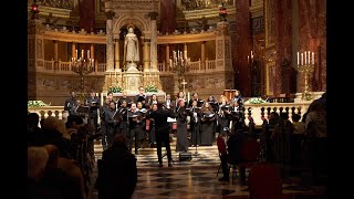 Concert gems The view from the Choir 👌 catholic shortvideo music masschoir viralvideo [upl. by Hakkeber]