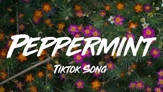 Peppermint feat Lexy  Jack Stauber Lyrics [upl. by Langer]