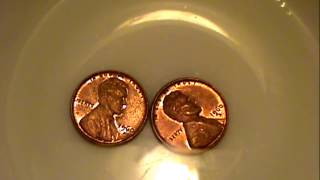 3 Top methods of cleaning pennies [upl. by Nrevel926]