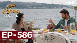 ShajareMamnu  Episode 586  Turkish Drama Forbidden Fruit  Urdu Dubbing  11 September 2023 [upl. by Richey]