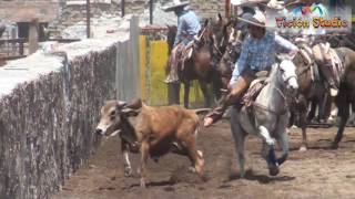 lienzo Charro Jose Beremun Huejuquillita [upl. by Yenahpets]