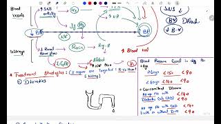 Antihypertensive Pharmacology  Hypertension Classification etiology Treatment Strategies  pt 1 [upl. by Crow276]