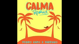 Pedro Capó Farruko  Calma Remix Instrumental [upl. by Ertsevlis959]