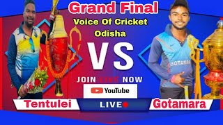 Final 1 Gotamara vs Tentloi 1st Hemant Memorial Cricket Tournament Mahitala 2024 [upl. by Odlaniger]