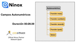 Ninox Database crear campos autonuméricos FullHD 1080 Español [upl. by Guerin813]