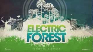 Electric Forest Festival 2012 PSG [upl. by Bellew]