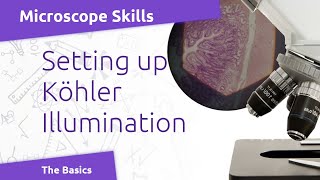 Microscope Basics Kohler Illumination [upl. by Brownson]