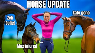 HORSE UPDATE  A LOT GOING ON  VLOG 115 [upl. by Babby937]