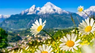 Switzerland AMAZING Beautiful Nature with Soothing Relaxing Music 4k Ultra HD by Tim Janis [upl. by Ecirahc]