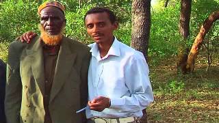 Nasreddin Adem  Gootota  Oromo Music 2014 new [upl. by Xerxes]