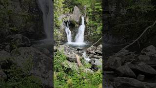 Red Elderberry at Bashbish Falls [upl. by Hess747]