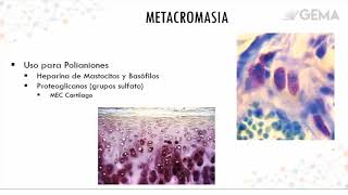 Técnicas Histoquímicas e inmunohistoquímicas [upl. by Colfin]