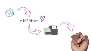 DNS Delegation Using Windows DNS [upl. by Atiner]