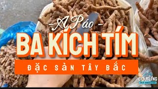 Ba kích tím nhà A Páo không thể thiếu trong các gia đình [upl. by Sager]