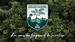 Évadezvous au Parc Provincial des Grandes Fougères 🌿 [upl. by Rowland]