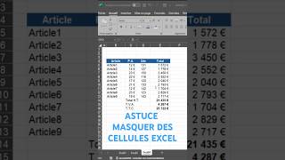 Excel Cellules  Comment Les Masquer  Astuce [upl. by Nerred660]