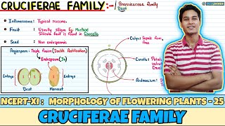 Morphology of Flowering Plants Lec 25 Cruciferae Family Class 11 NEET Neetology [upl. by Euhc]