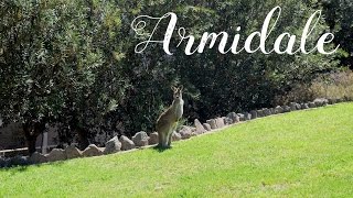 VLOG Australia UNE Armidale [upl. by Pik]