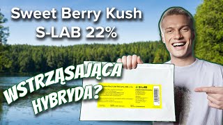 Sweet Berry Kush SLAB  Test i recenzja [upl. by Aicilev]