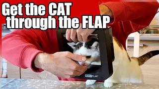 How To Install SureFlap AND Get Your Cat Trough It Easy [upl. by Enyehc]