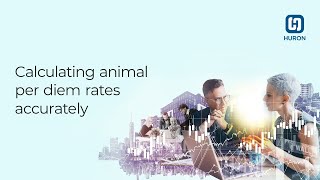 Calculating animal per diem rates accurately [upl. by Ydnyc]