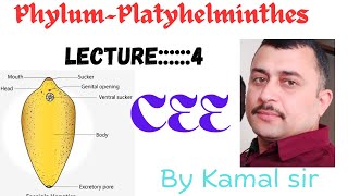 Phylum Platyhelmintheslectur ——4BY Kamal Nepal sir Cee zoology [upl. by Airrat]