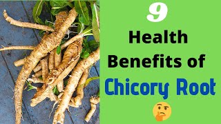 The 9 Health Benefits of Chicory Root 🌱 [upl. by Nostaw]