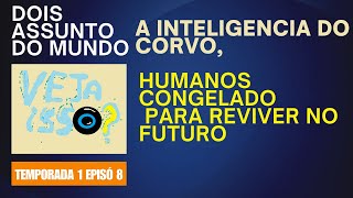 temporada 1 episó 8 Dois Assunto A INTELIGENCIA DO CORVOHUMANOS CONGELADO PARA REVIVER NO FUTURO [upl. by Nnyleak965]