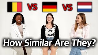 Can Dutch and German Speaking Countries Understand Each Other Belgium vs Germany vs Netherlands [upl. by Ahsekat]