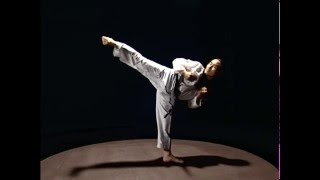 Taekwondo basic kicks [upl. by Hagerman]