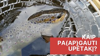 Upėtakių žvejyba pavasarį ARBA kaip paapgauti upėtakį  Trout fishing [upl. by Goddord]