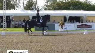 Edward Gal on Moorlands TotilasGrand Prix CDI5 Hickstead [upl. by Eanat732]