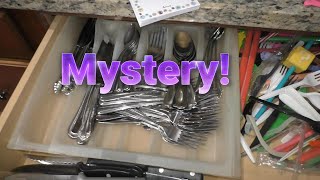 The Great Disappearing Silverware Mystery 🍴 [upl. by Cynera]