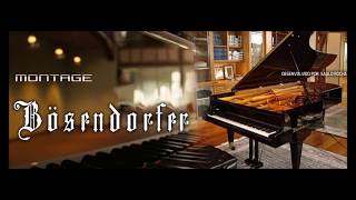 Bosendorfer Imperial 290  Montage for kontakt [upl. by Nagorb501]