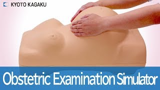 MW34 Obstetric Examination Simulator [upl. by Natal]