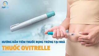 Hướng dẫn tiêm thuốc rụng trứng tại nhà  Thuốc Ovitrelle  IVF Tâm Anh [upl. by Lil]