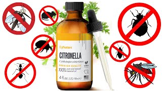 How to Use Citronella Oil to Get Rid of Pests QUICK amp FAST [upl. by Idissac558]