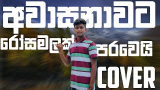 Awasanawata Rosa Malak අවාසනාවට රෝස මලක් පරවෙයි song cover I AVISHKA TUNES [upl. by Jarita]