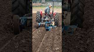 Massey Ferguson 35 at Southwell Ploughing Match Saturday 30th September 2023 [upl. by Yolande]