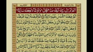 Quran Para 19 With Urdu Translation  Recitation  Mishary Rashid Alafasy [upl. by Fields]