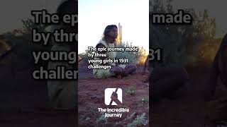 The Rabbit Proof Fence A Tale of Hope and Courage rabbitproof documentary [upl. by Durwyn]