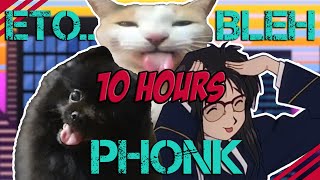 Ah Eto Bleh Phonk Song 10 Hours Version [upl. by Dianuj687]