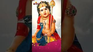 ayyappaswamysongs  Palanimalai Vasuda Song  youtubeshorts  bhaktisongstelugu  ayyappasongs [upl. by Limemann]