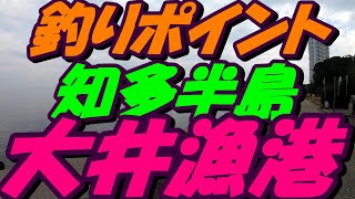 【愛知県釣りポイント】南知多町大井漁港2021年2月中旬 [upl. by Nofets]