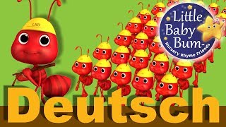 Die Ameisen marschieren  Kinderlieder  LittleBabyBum [upl. by Sebastien]